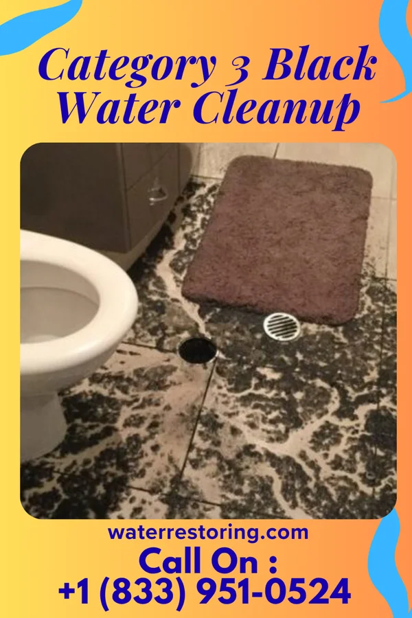 Category 3 Black Water Cleanup in Womelsdorf, WV