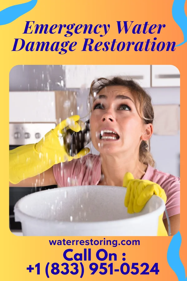 Emergency Water Damage Restoration in Womelsdorf, WV