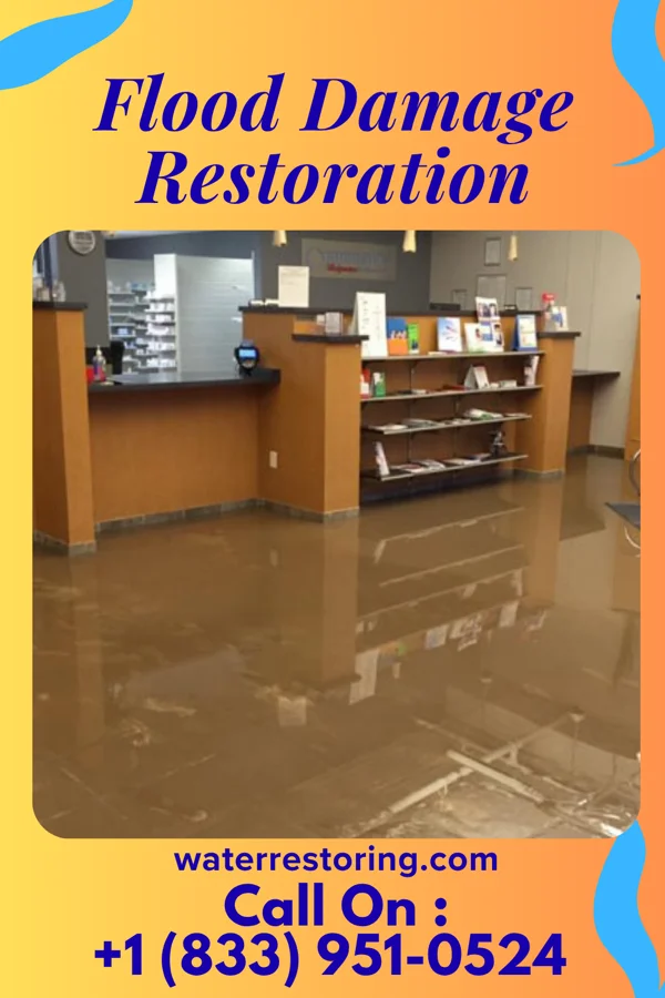 Flood Damage Restoration in Womelsdorf, WV