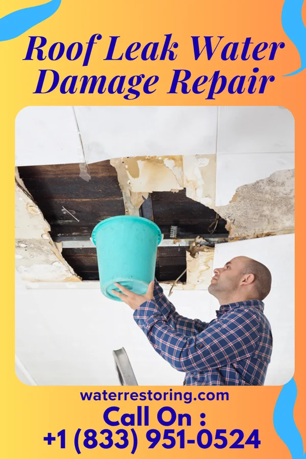 Roof Leak Water Damage Repair in Womelsdorf, WV
