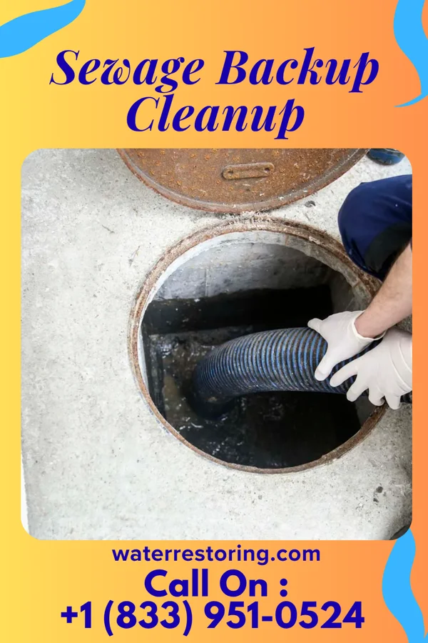 Sewage Backup Cleanup in Womelsdorf, WV