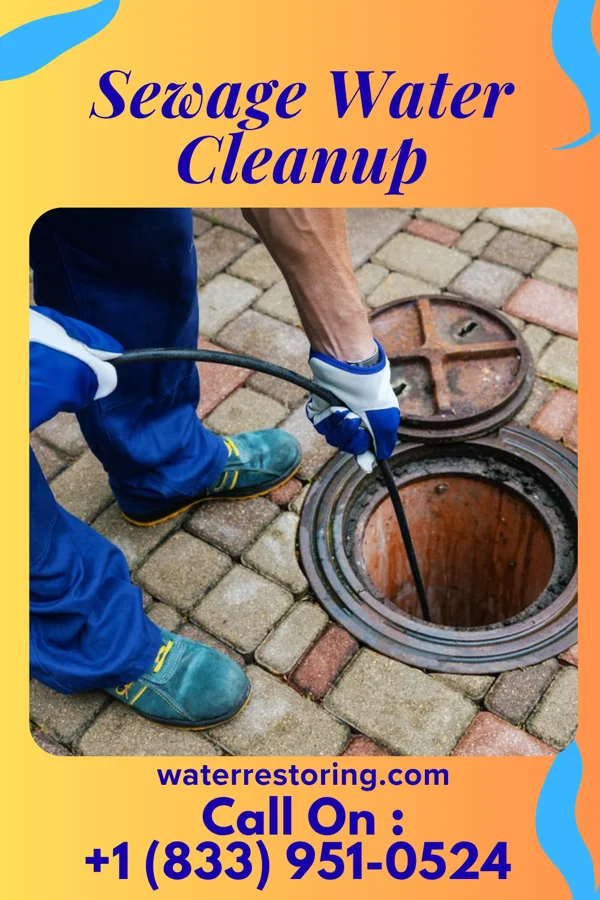 Sewage Water Cleanup in Womelsdorf, WV