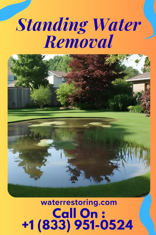 Standing Water Removal in Womelsdorf, WV